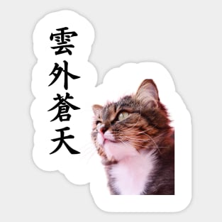 Japanese Kanji Four-letter Idioms Sticker